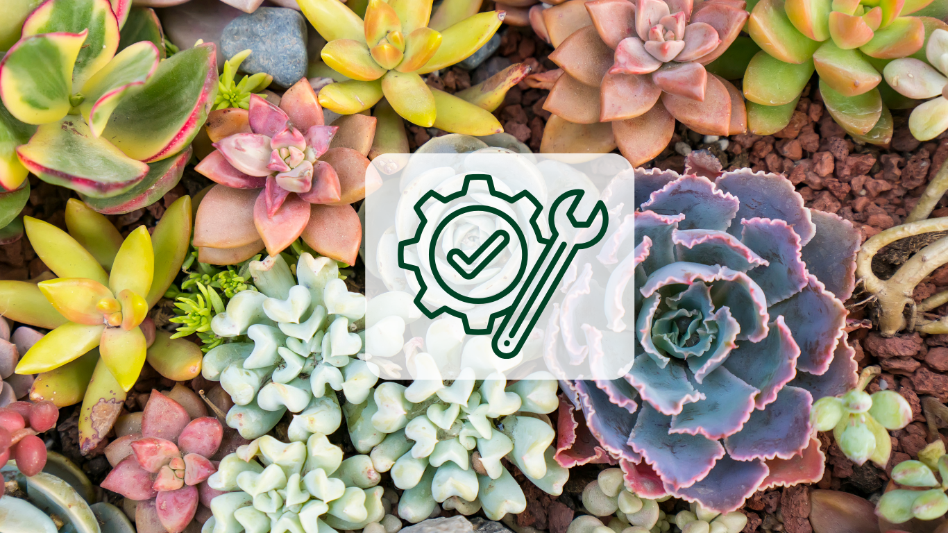 Plant Installation