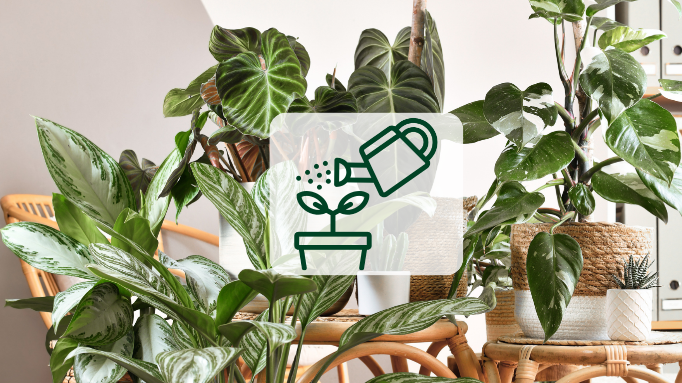 Plant Maintenance